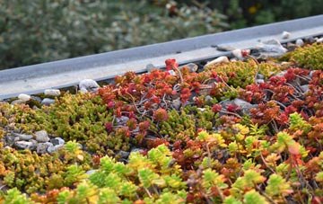 the cost of Little Missnden green roof installation