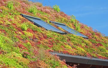Little Missnden living roof systems